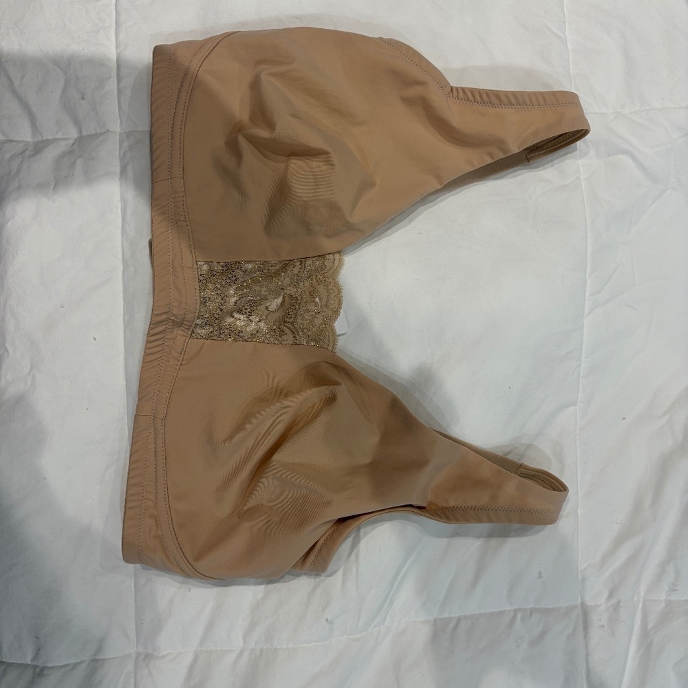 NWT COSABELLA BRA SOPRANO LACE CURVY PLUNGE COLOR CAMEL GOLD